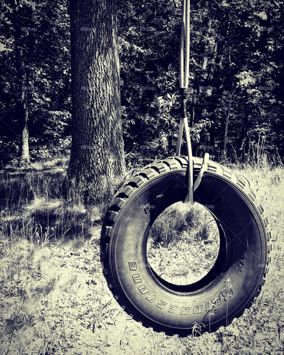 No Person, Tree, Wood, Nature, Old