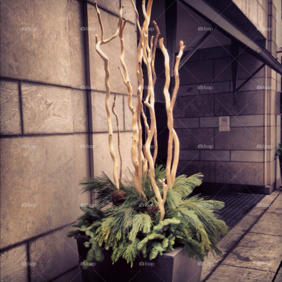 green flower tree building by byg