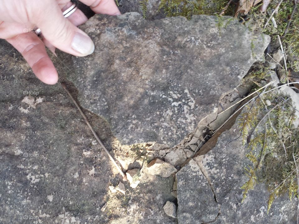 monkey mountain views