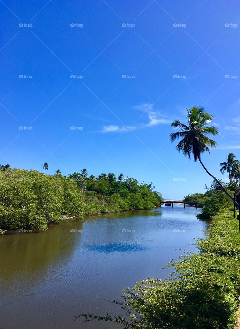 🇺🇸 The infinite view of the waters brings me peace and inspiration!  Here: Maragogi, a city of beautiful beaches in Brazil. / 🇧🇷 A visão infinita das águas me traz paz e inspiração! Aqui: Maragogi, uma cidade de belas praias no 