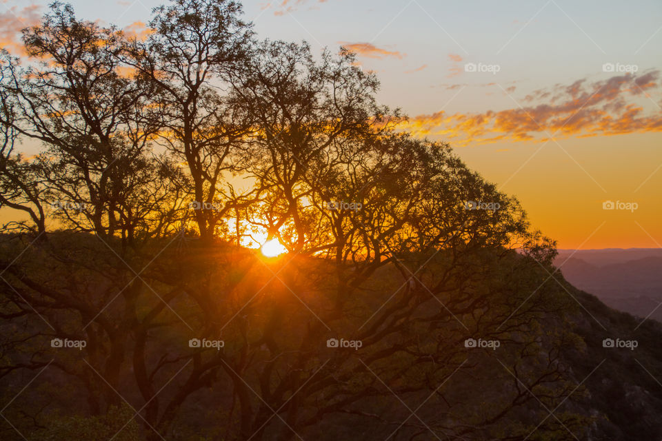 sunset after tree and mountains