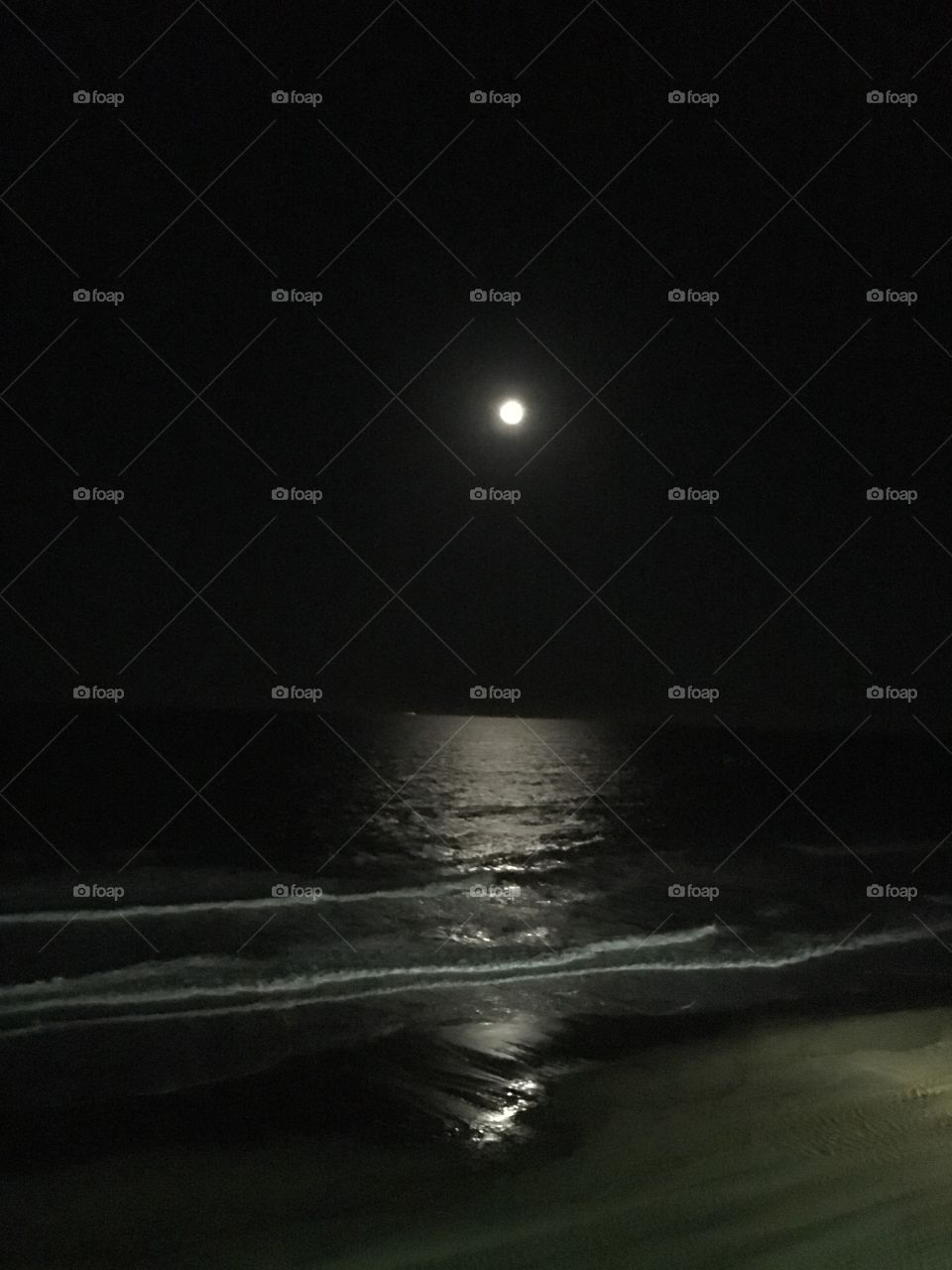 Night moon beach 