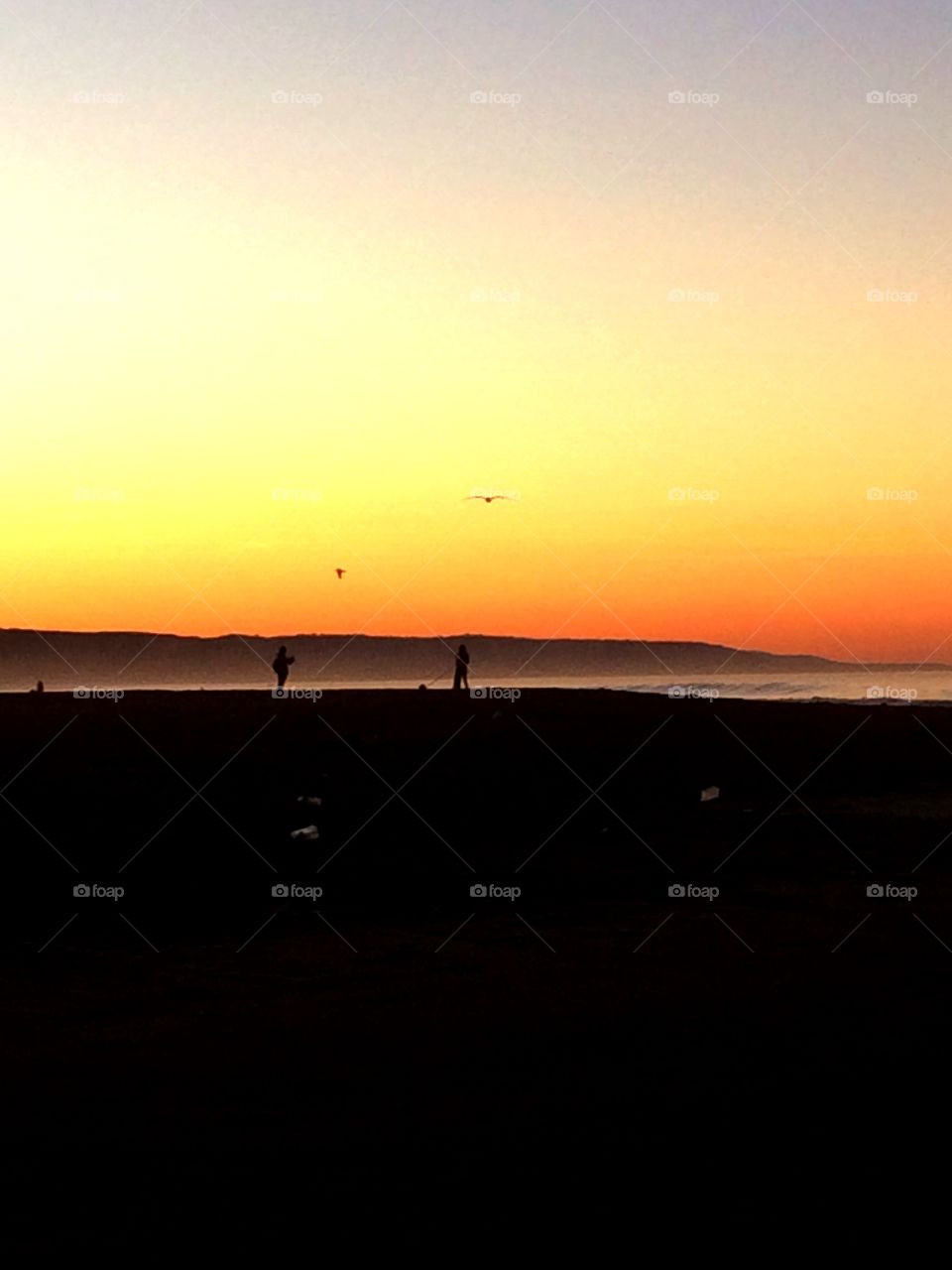 Winter fog at Sunrise. Winter fog at Sunrise