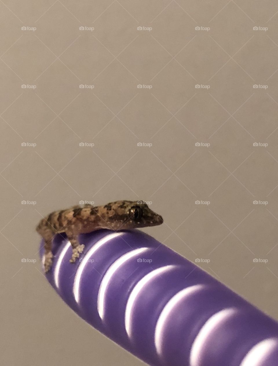 Staring contest - I blinked first