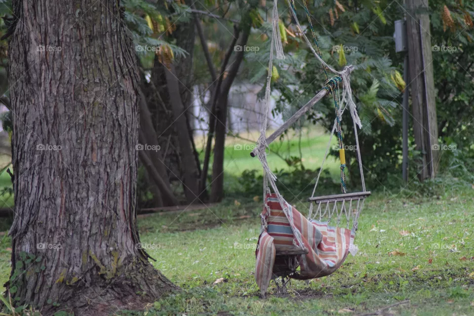 hammock