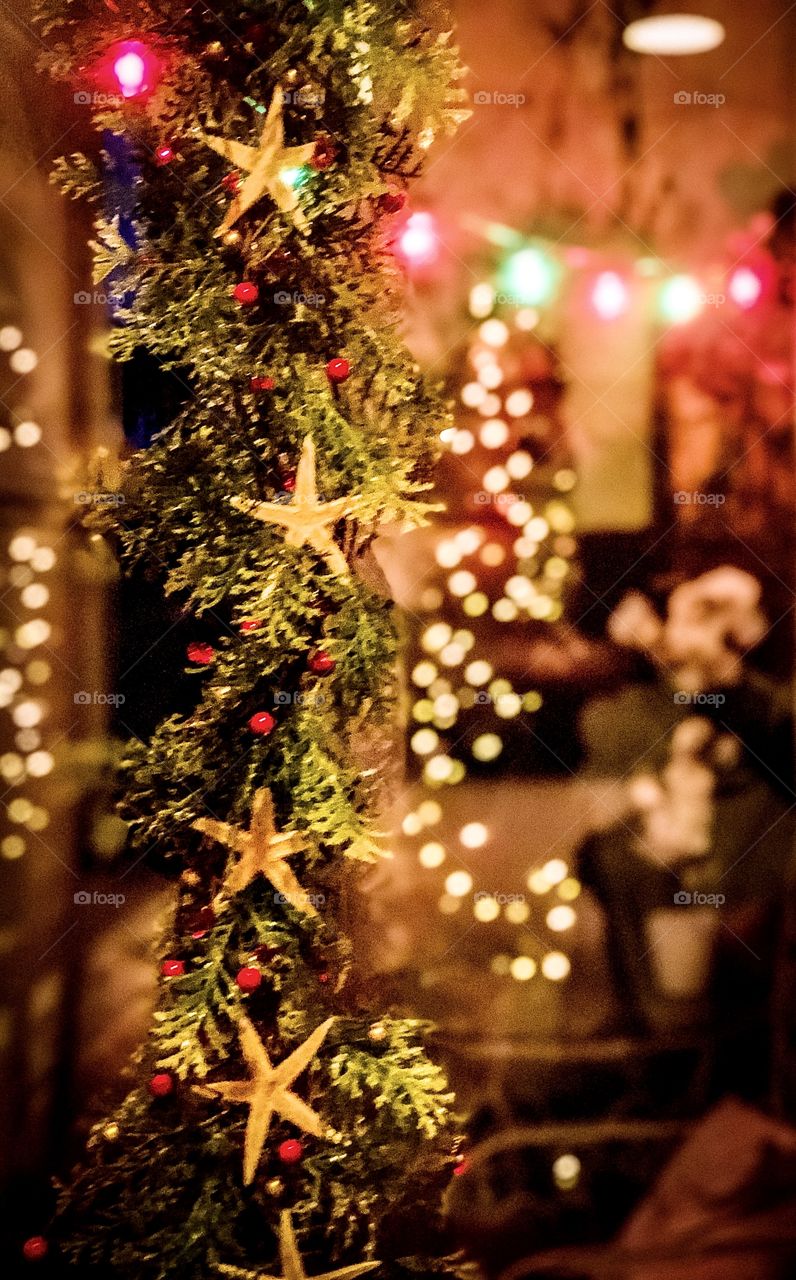 Foap Mission Christmas! Holiday Garlands with Star Fish And Blurred Background!