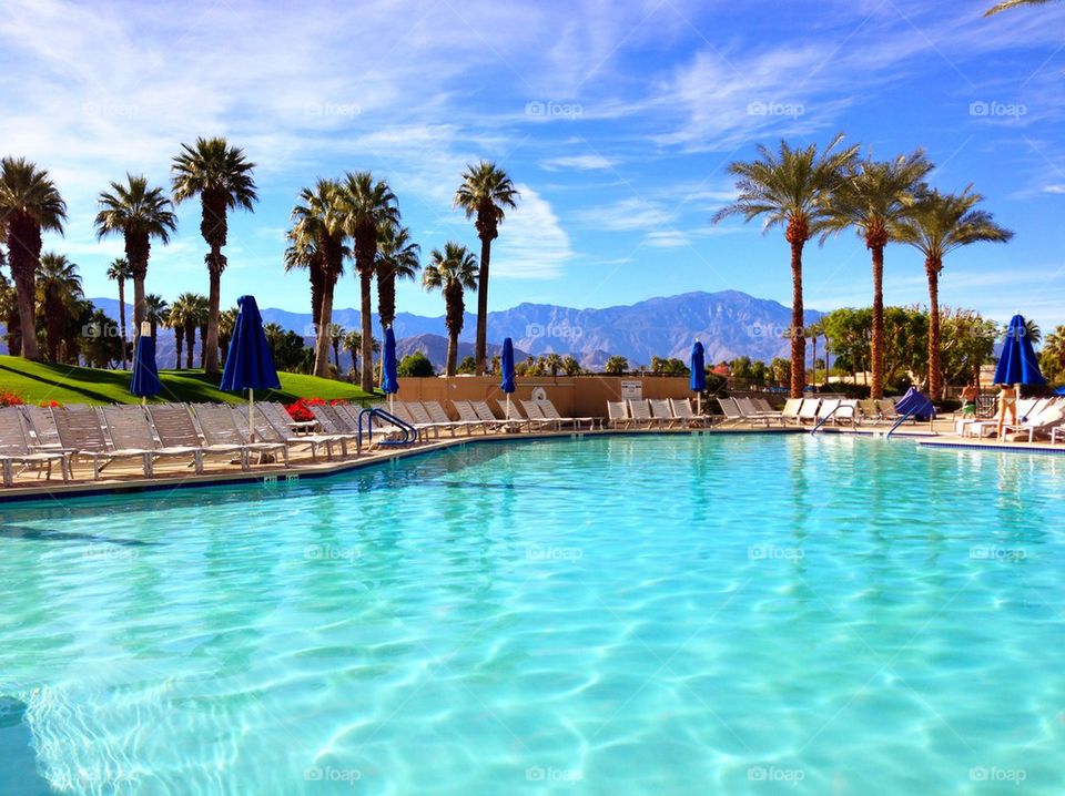 Pool in Palm Springs