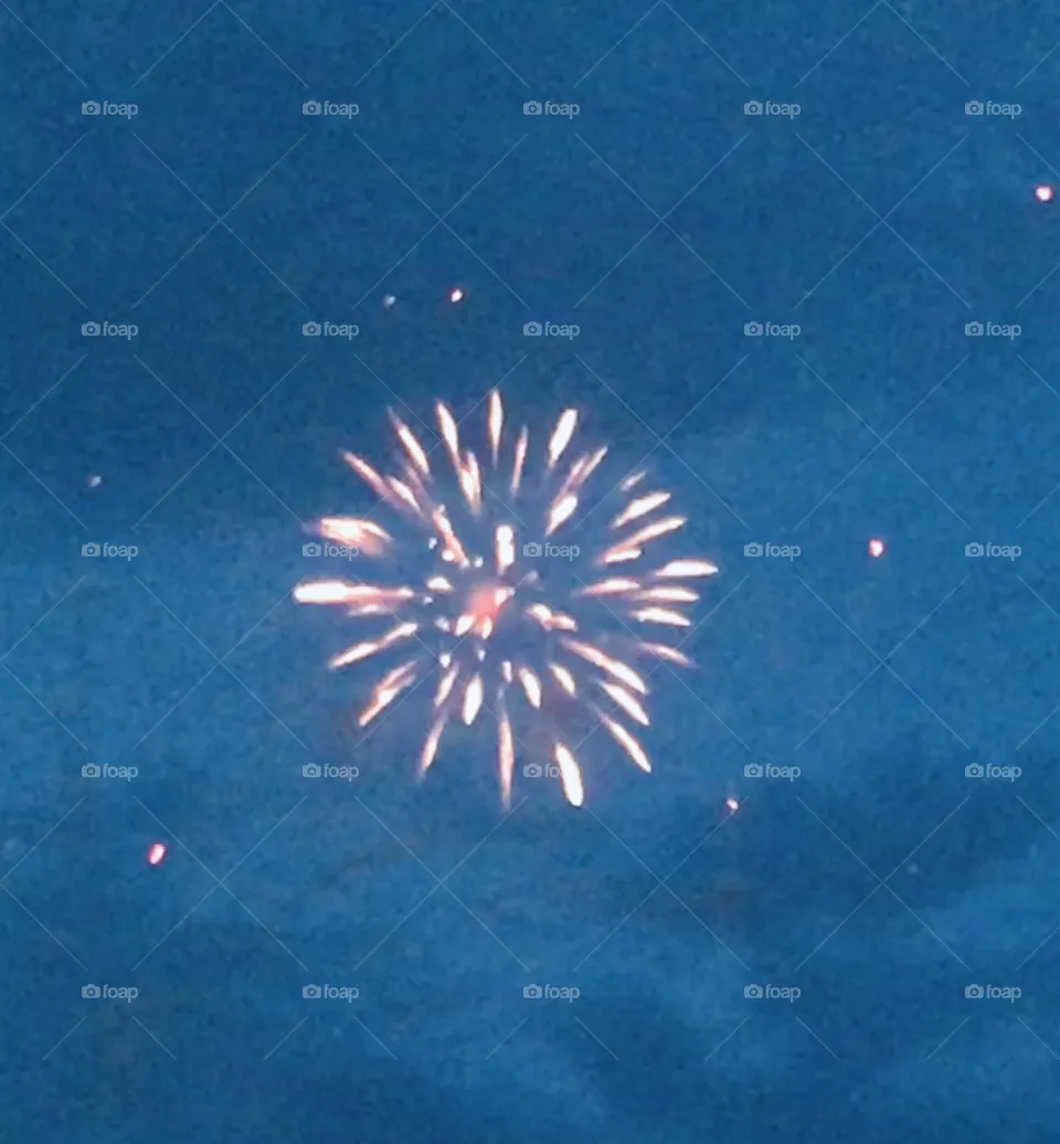 Pink Flower Firework 