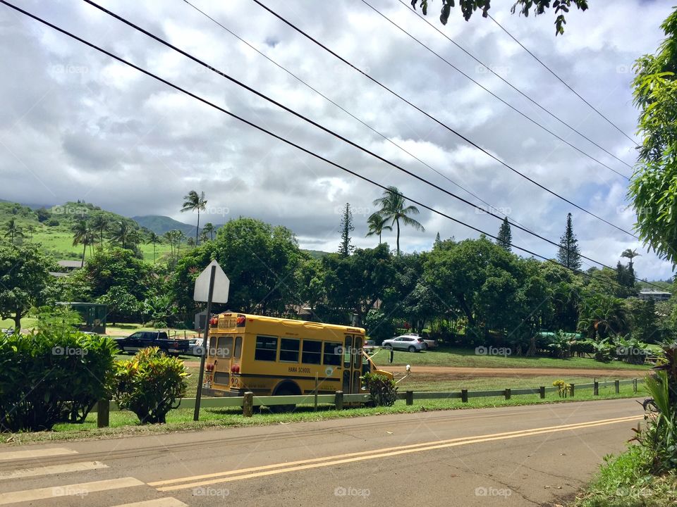 School bus in Hana, Maui, Hawaii 