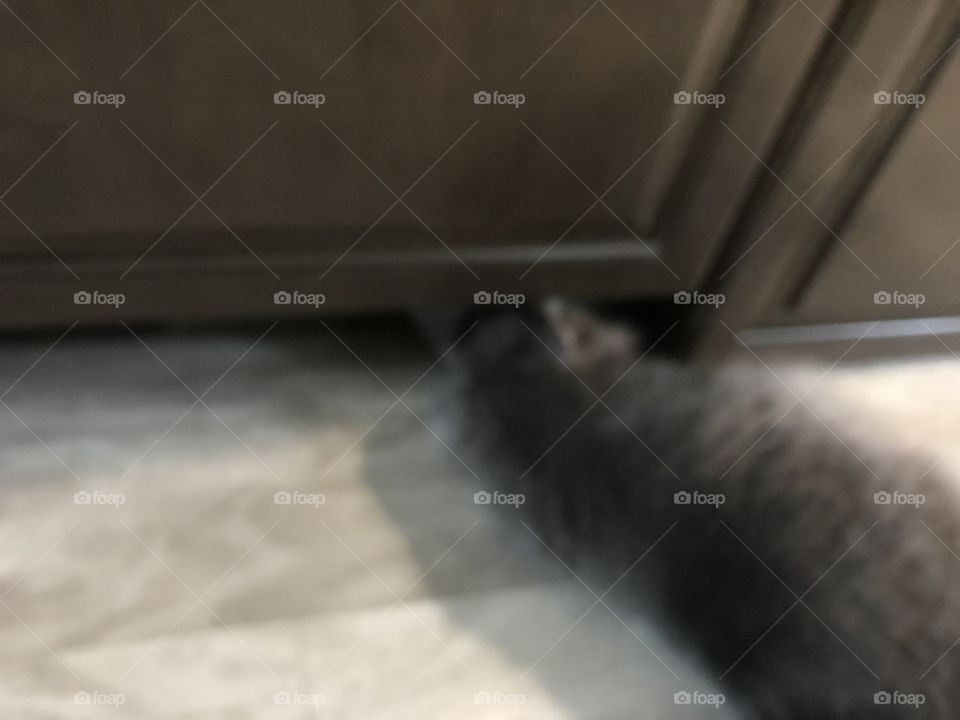 My little investigator always on the floor looking for someway to get stuck to make moms day hell