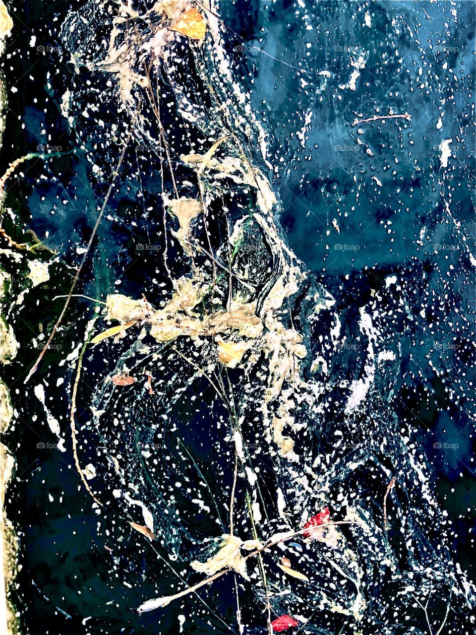 Algae swirls floating in the pond 