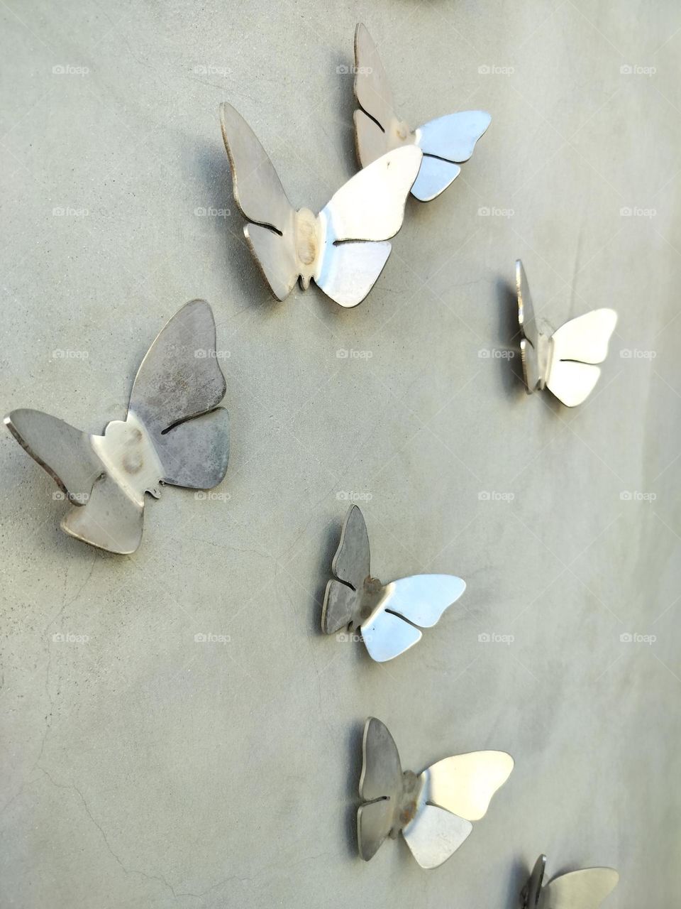 butterflies on the wall