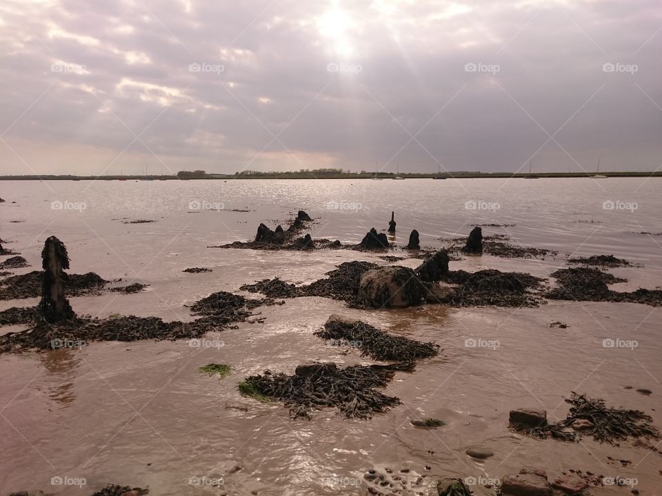 rocky river bank