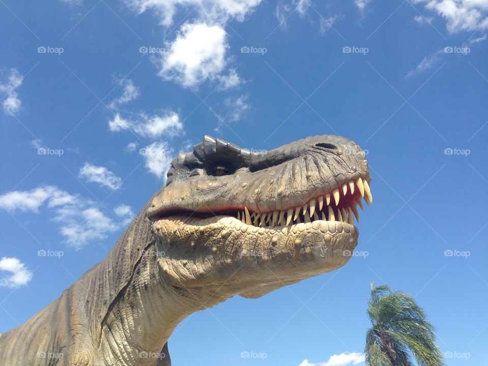 Giant T-rex