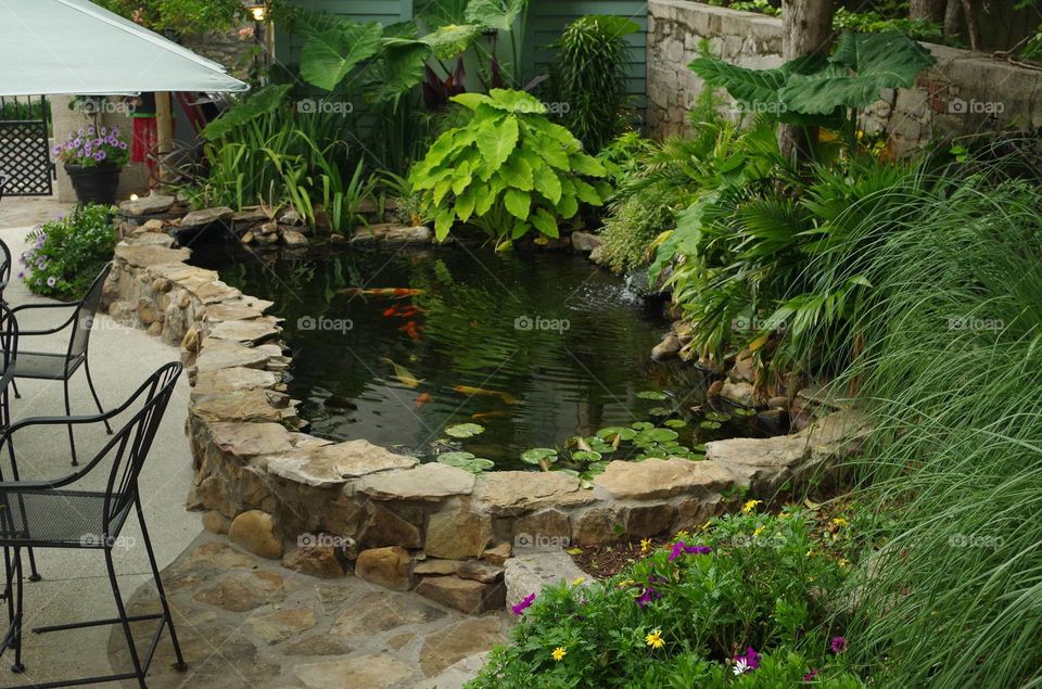 backyard garden pond
