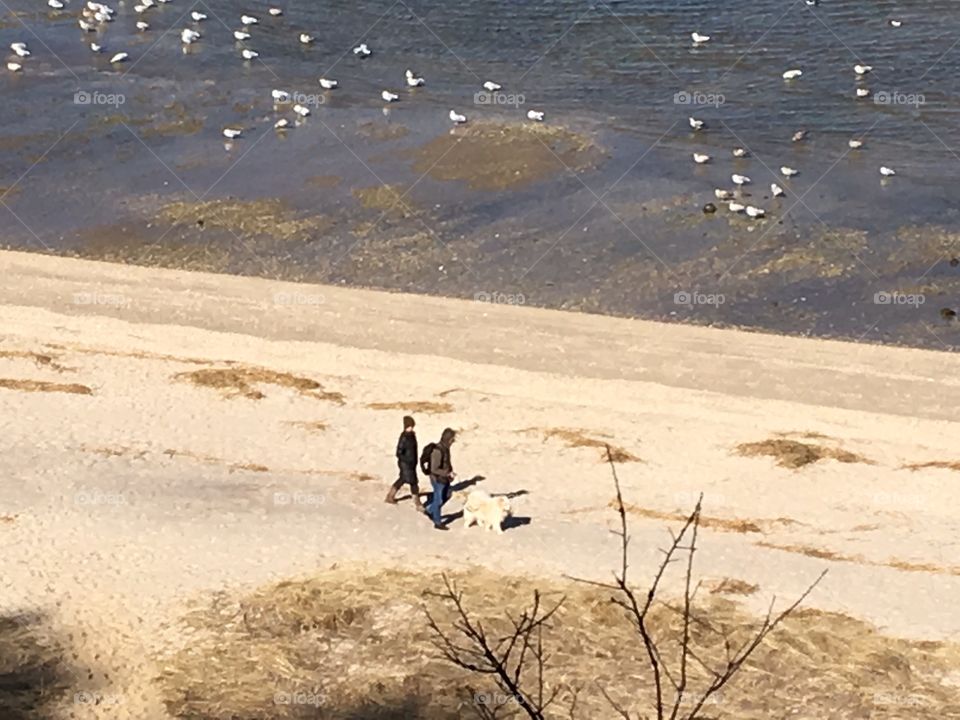 Walking on the beautiful beach in winter.