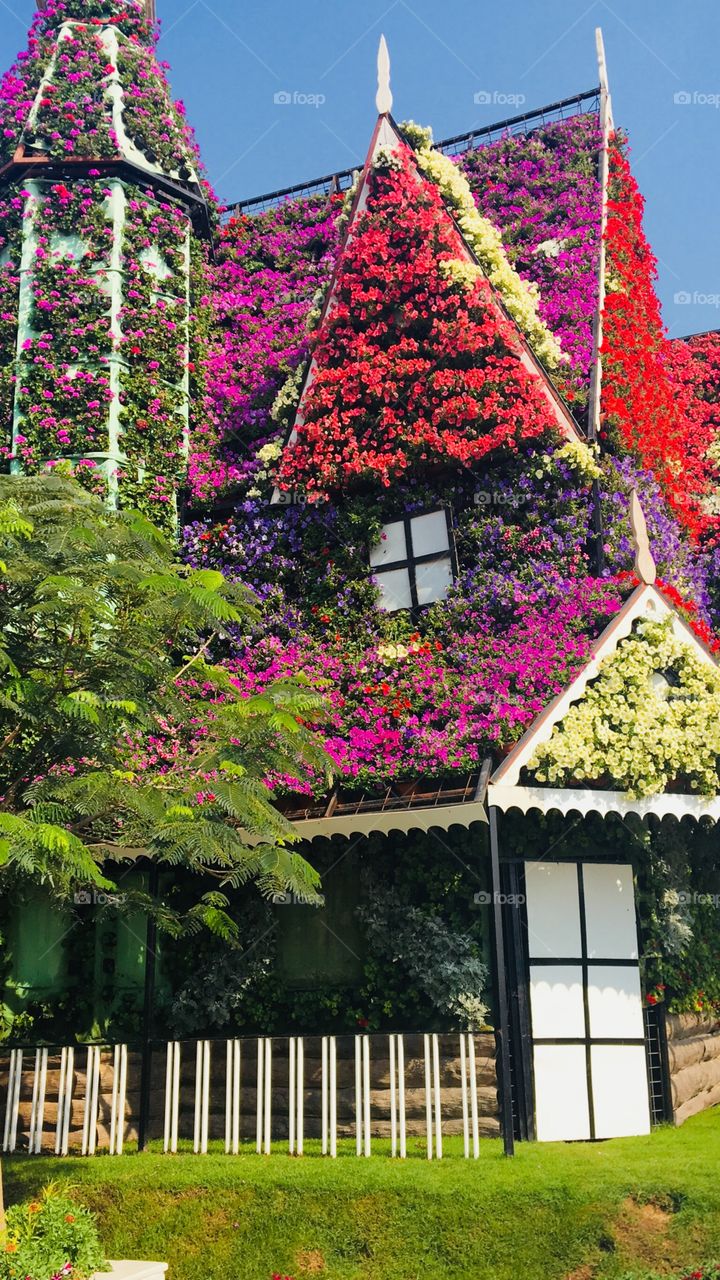 Flower house 