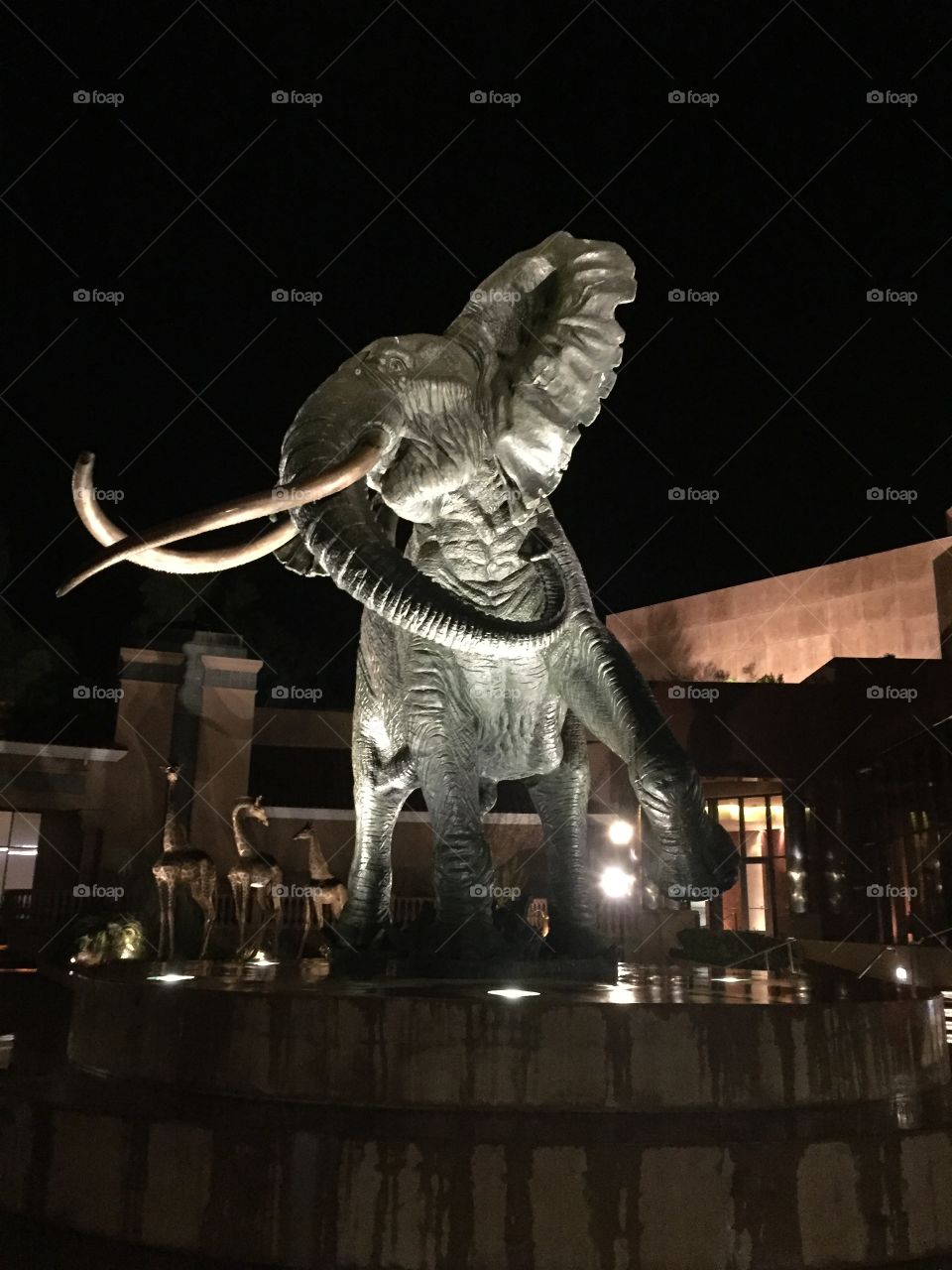 Elephant statue at night