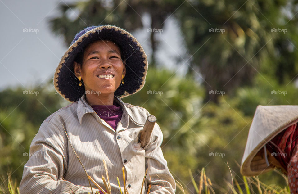 Wheat shearer