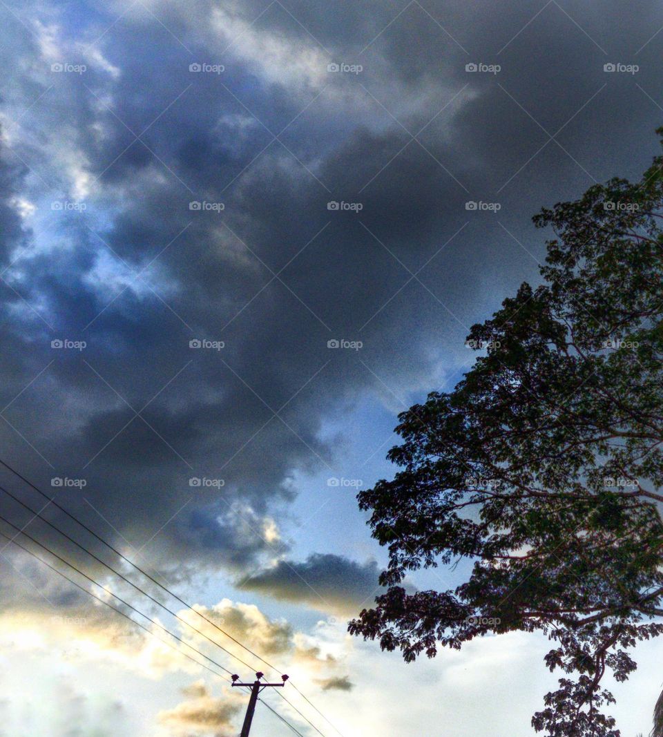 cloud's today . beautiful evening