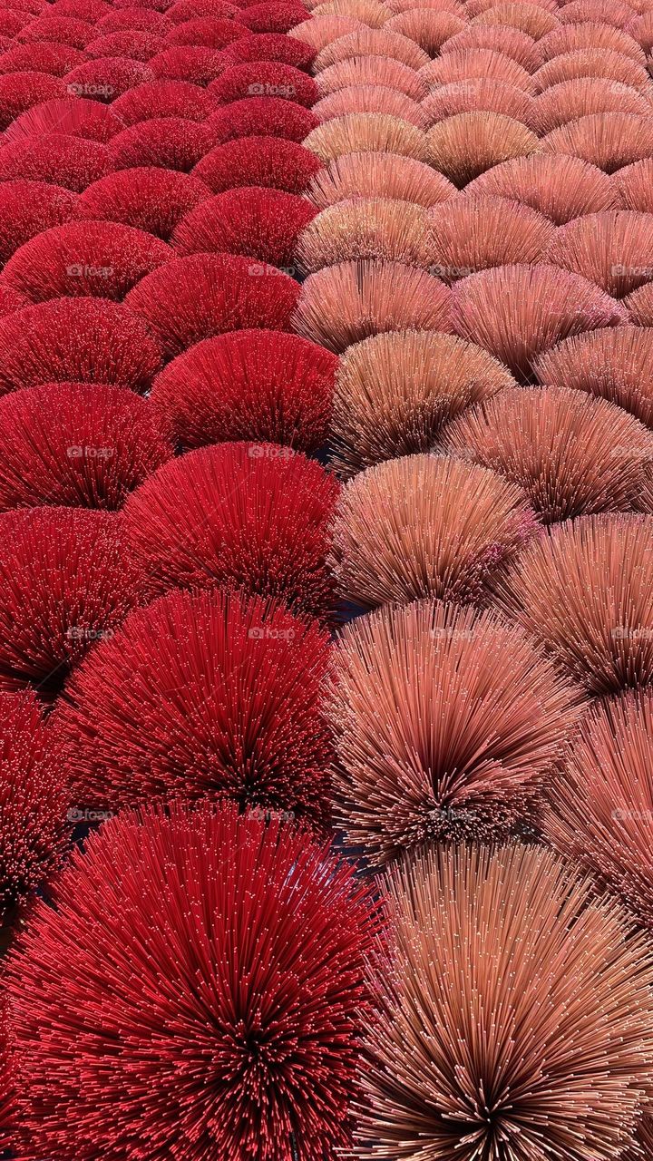 Incense sticks are made not far from Hanoi, northern Vietnam. They’re so colourful and beautiful 
