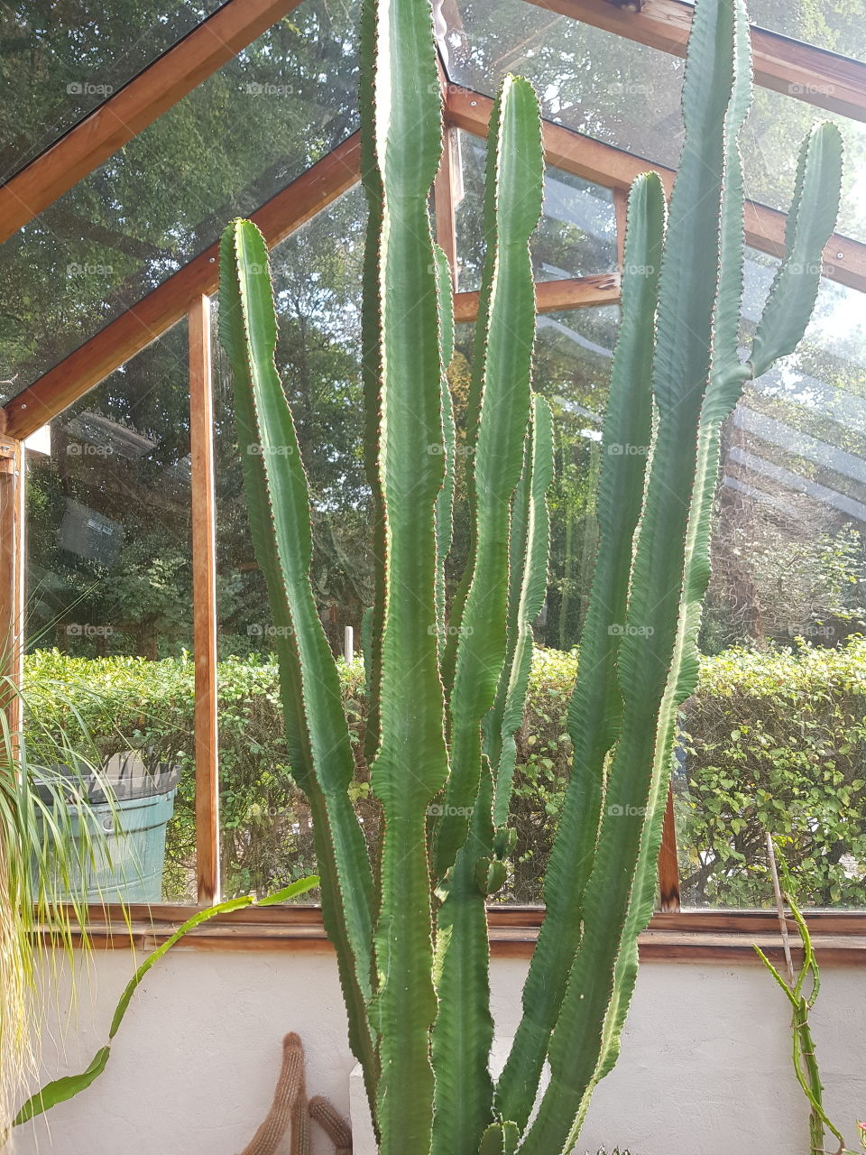 Winterbourne Gardens