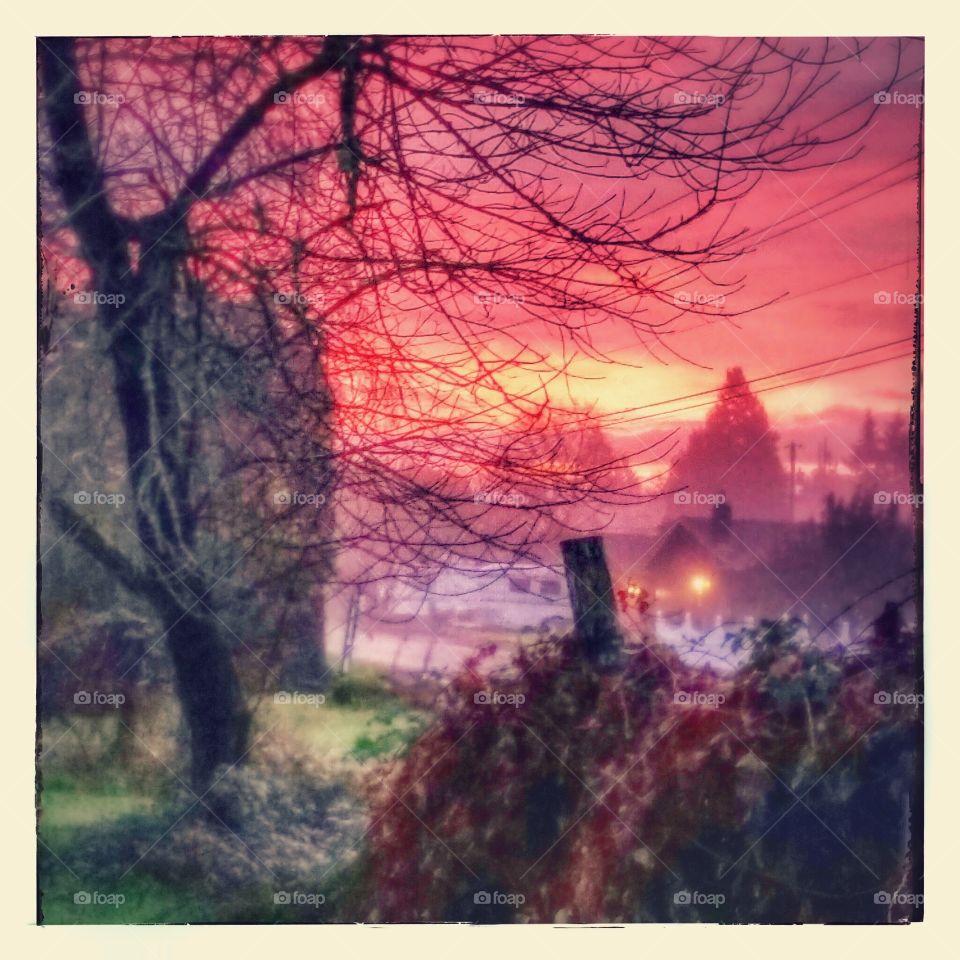 rural foggy red sunrise