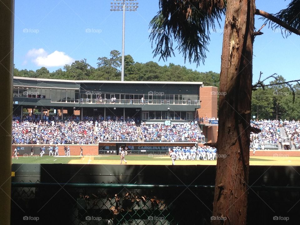 UNC Baseball game. UNC- Chapel Hill baseball game against South Carolina in the College World Series
