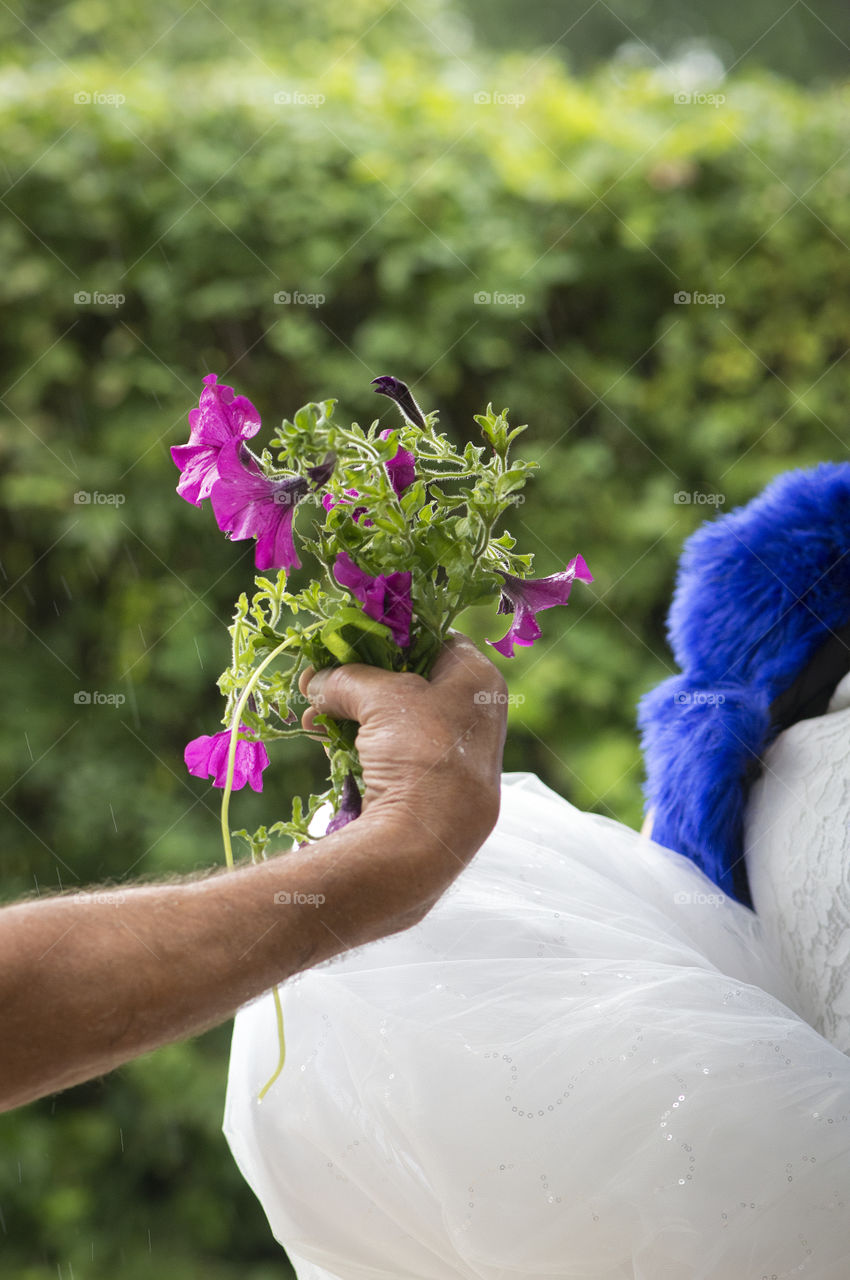 Bunch of purple flowers in man's hand giving