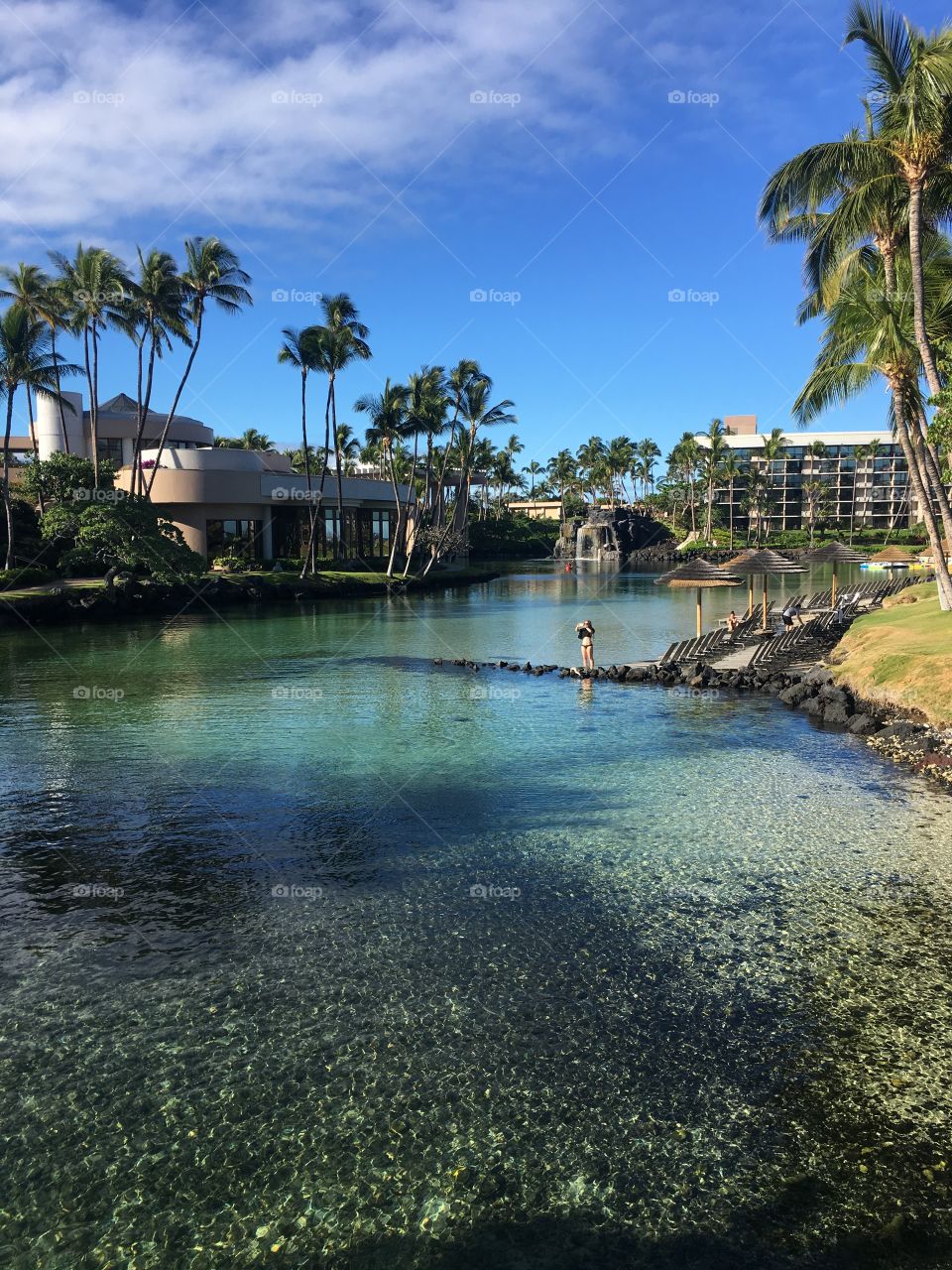 Beautiful oasis at luxury resort in Hawaii 