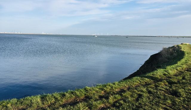 This photo was taken on a riverside walk in Lower Halstow on a strangely warm winter’s day. A beautiful, calm scene to bring in the New Year.