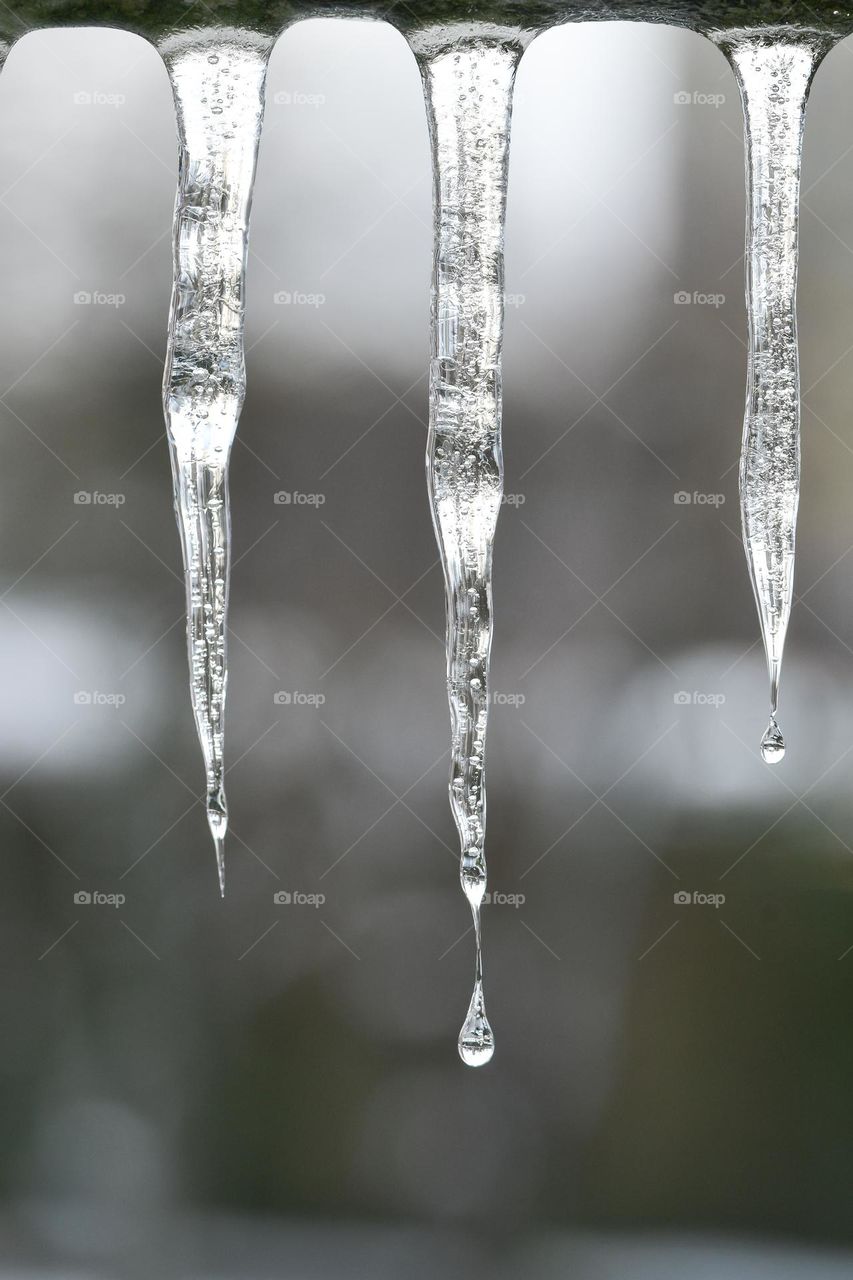 Photo of icicles