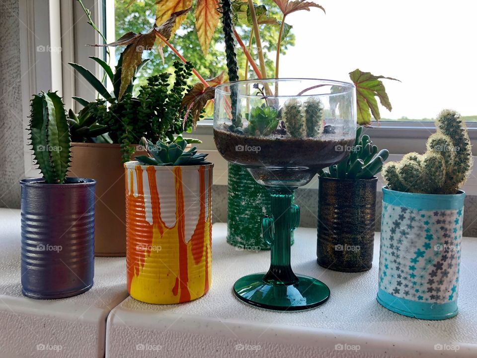 Flower pots from tin cans, plastic containers and old glasses