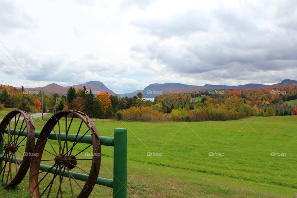 Fall in love with Fall