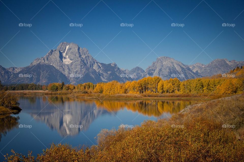 High angle view of nature