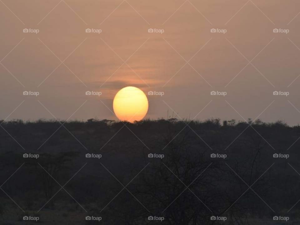 Sunset in maasai mara
