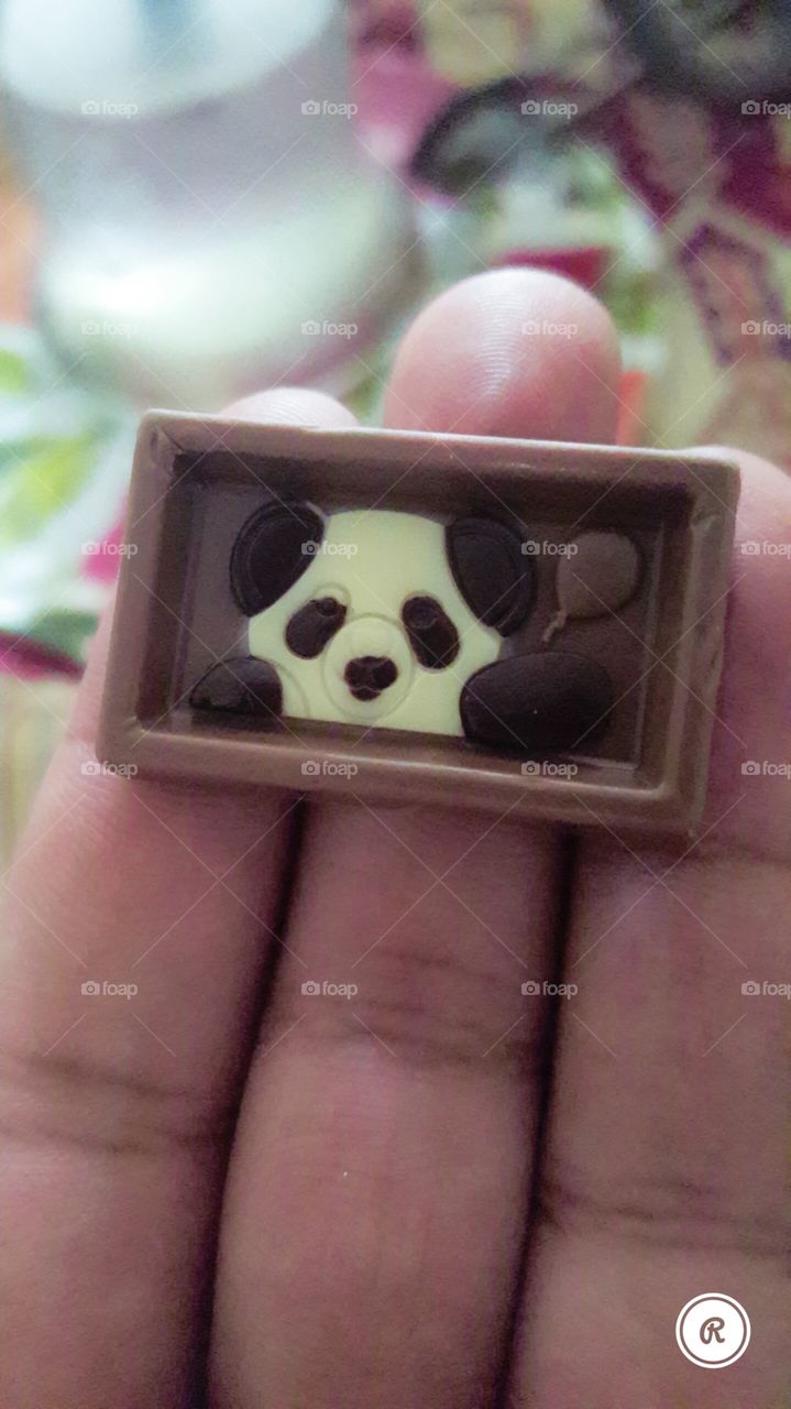 little panda