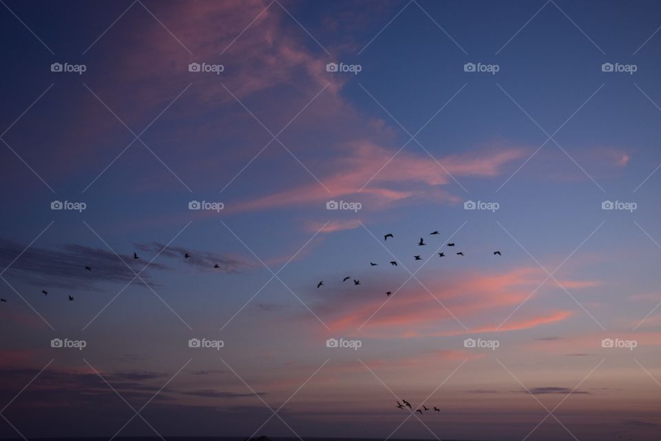 Sunset at a sutro baths