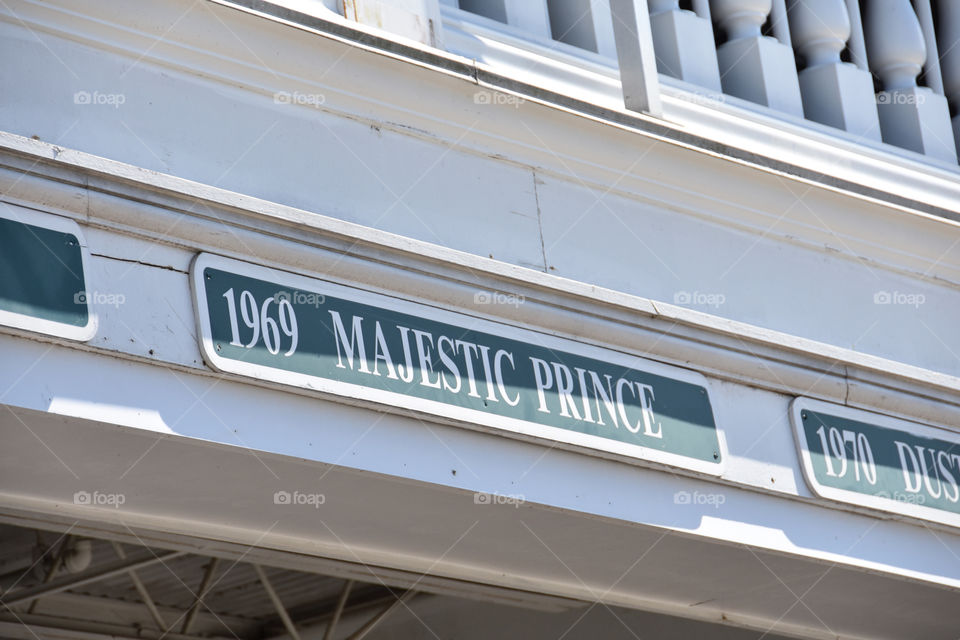 Majestic Prince - 1969 Derby Winner