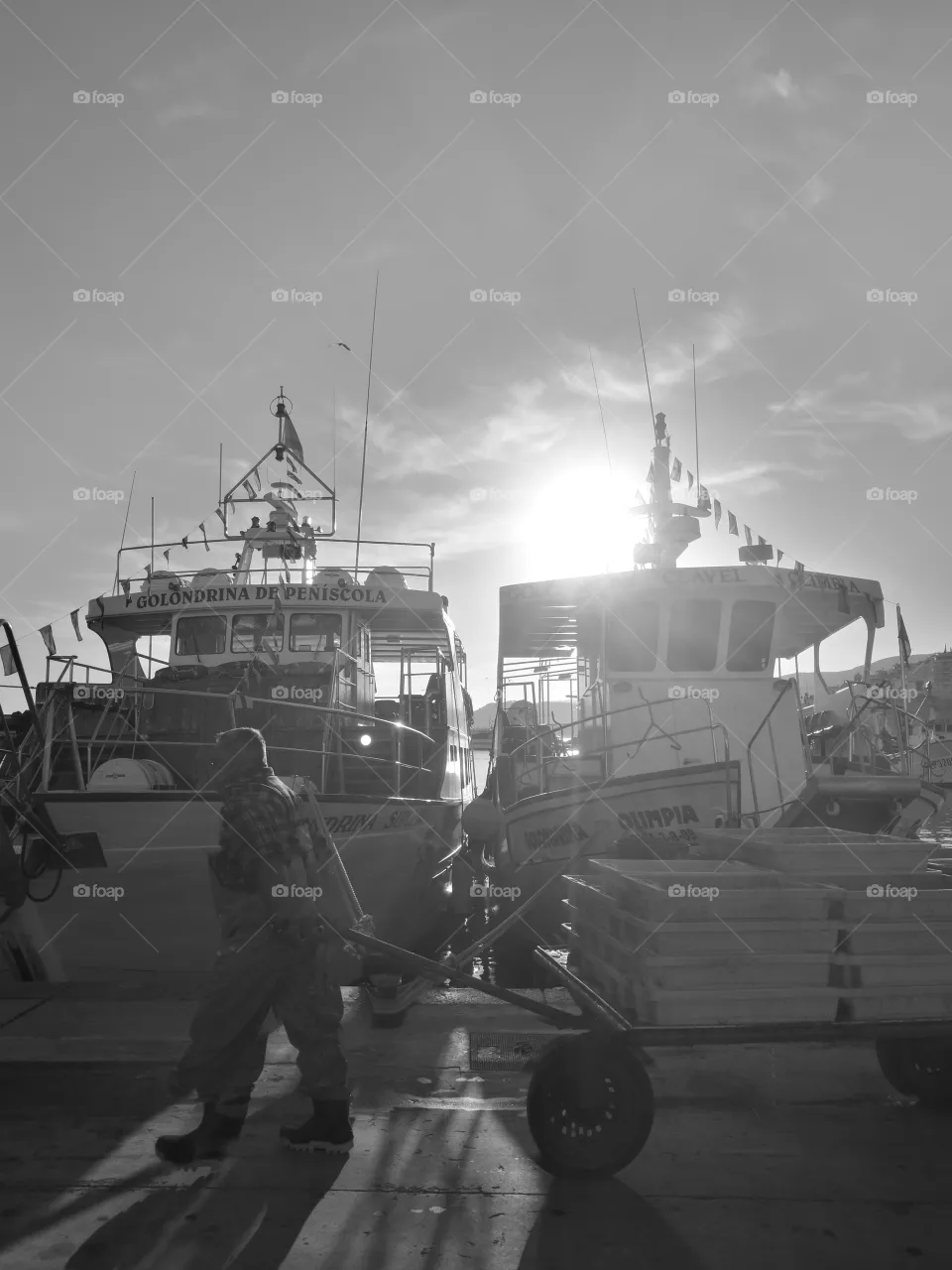 harbor