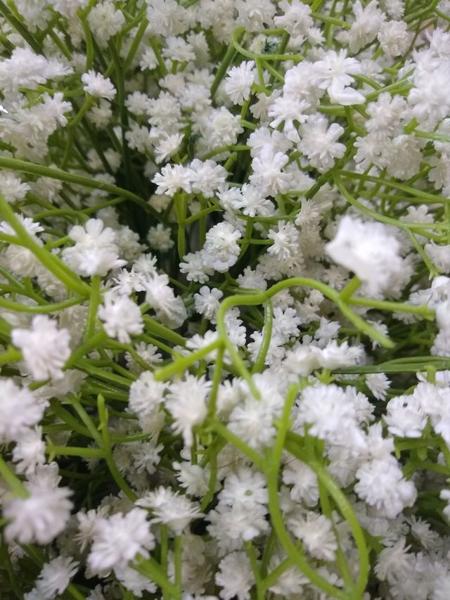 pequenas flores