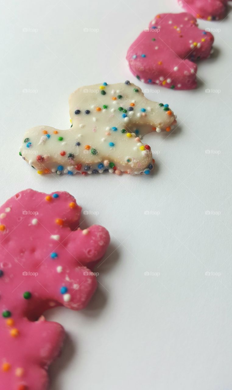 animal cooki