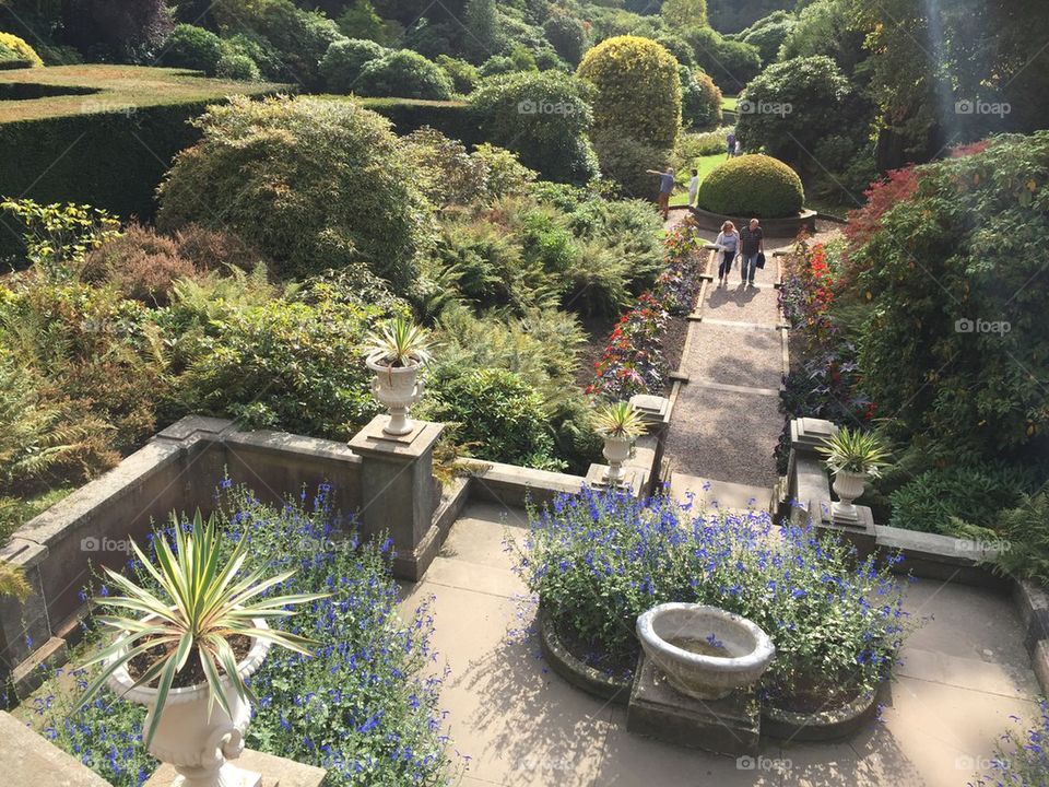 Tranquility at biddulph grange. 