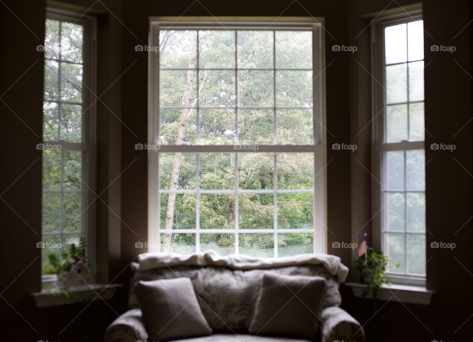 Just a Beautiful Day; Simple Tree Line view through a three side, curved window with a reading couch and window sill decorations
