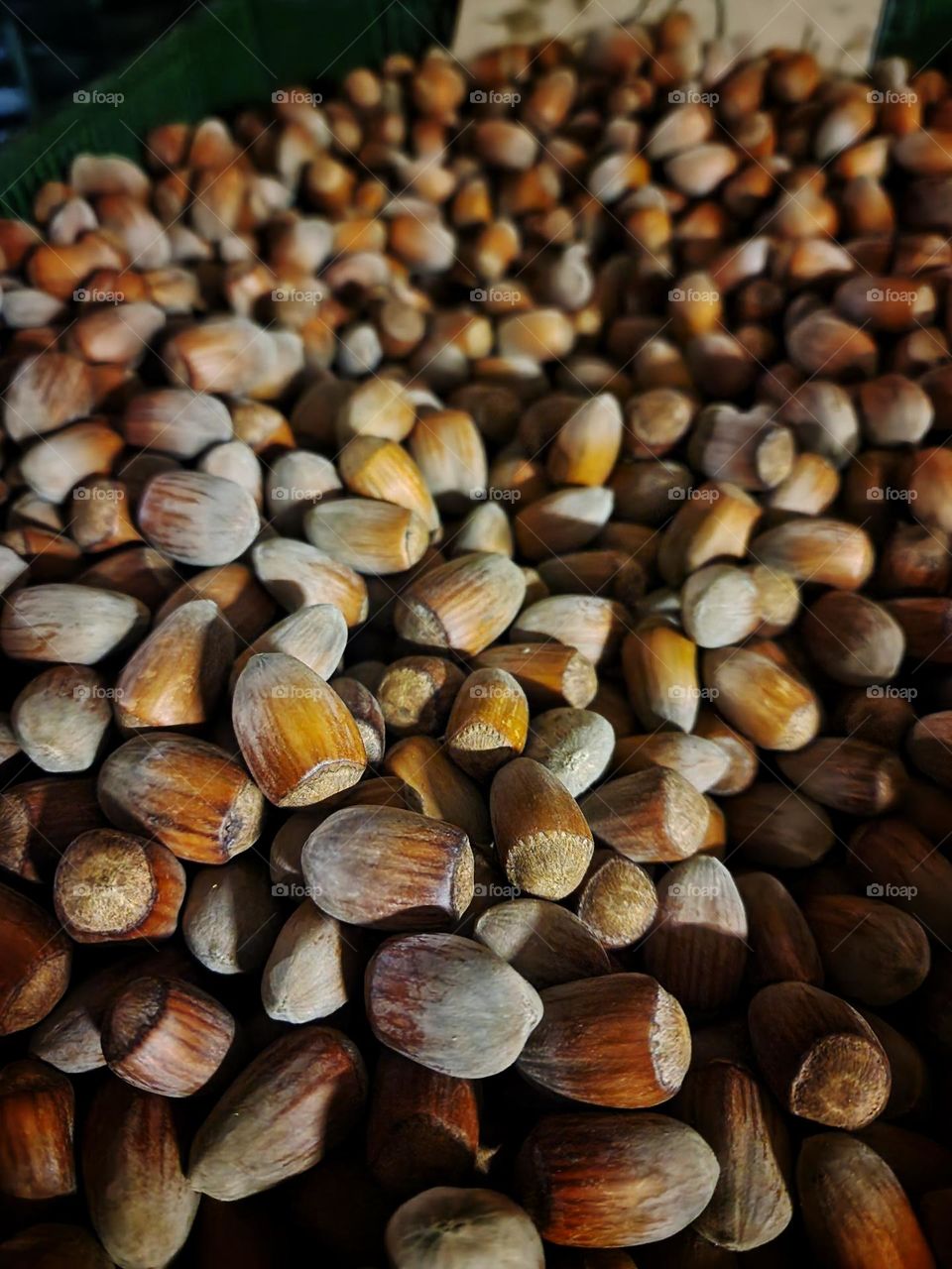 Hazelnuts.