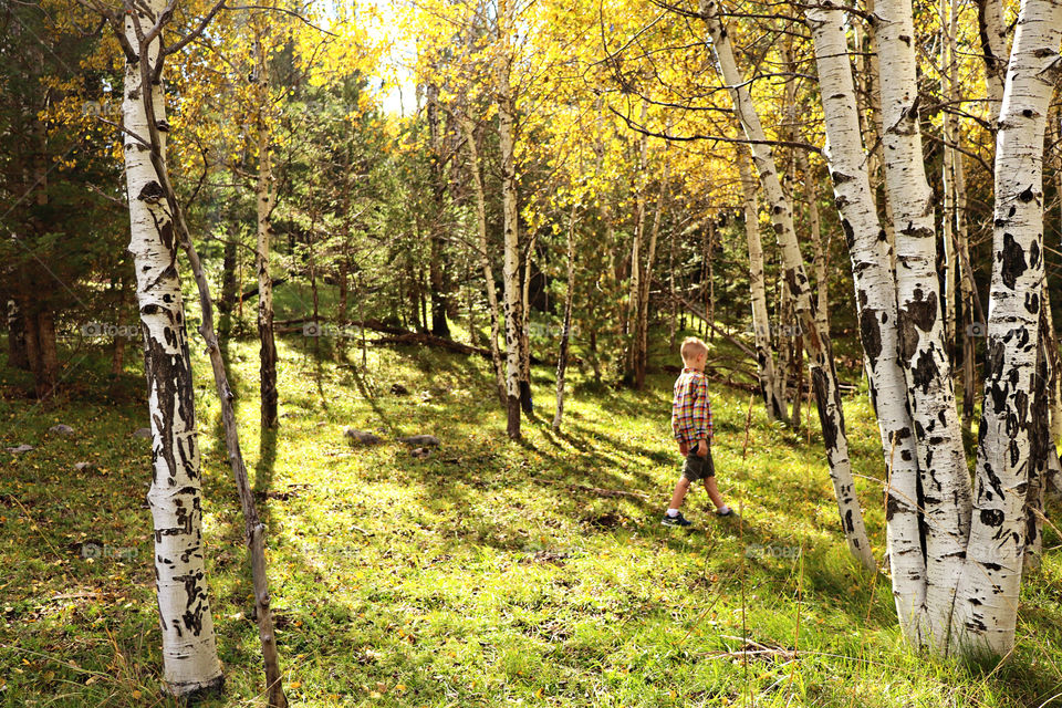 Fall Hike