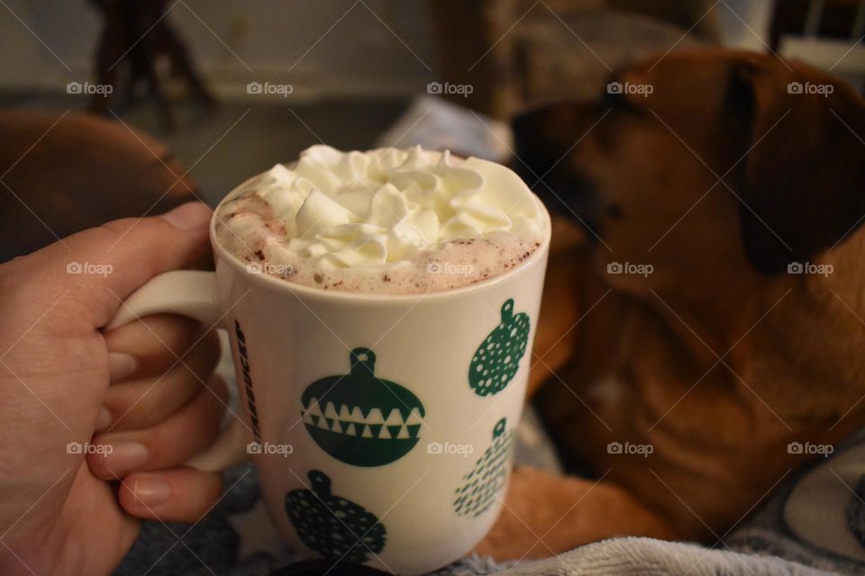 Hot cocoa with a warm blanket and a warm dog