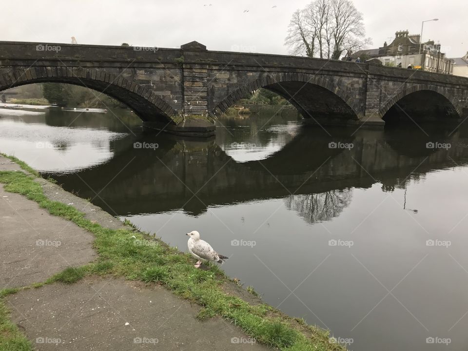 The seagull clinched it for me, once it stayed still.