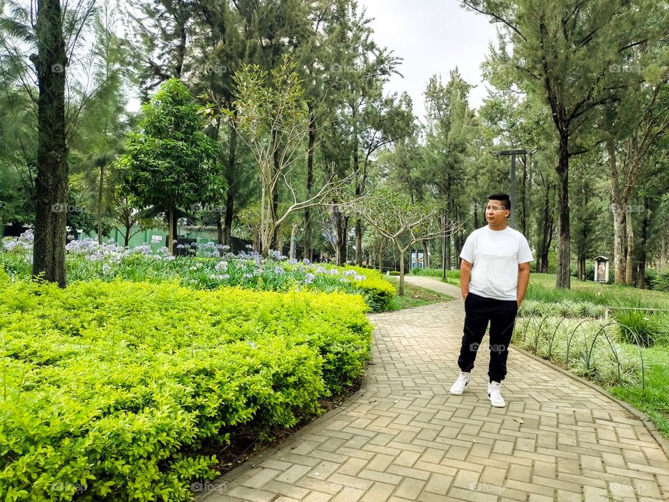 Person walking through a park in a city with lots of trees and bushes, located in Guatemala