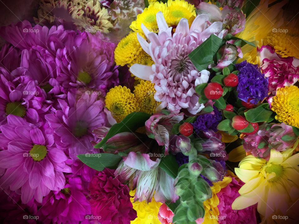 Festive flower bouquet . Festive flower bouquet 